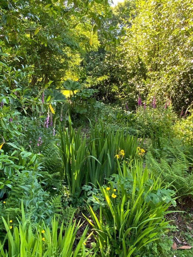 Red River Stables - Peaceful, Beautiful Grounds, Swimming Pool, Central Location For West Cornwall Camborne Bagian luar foto