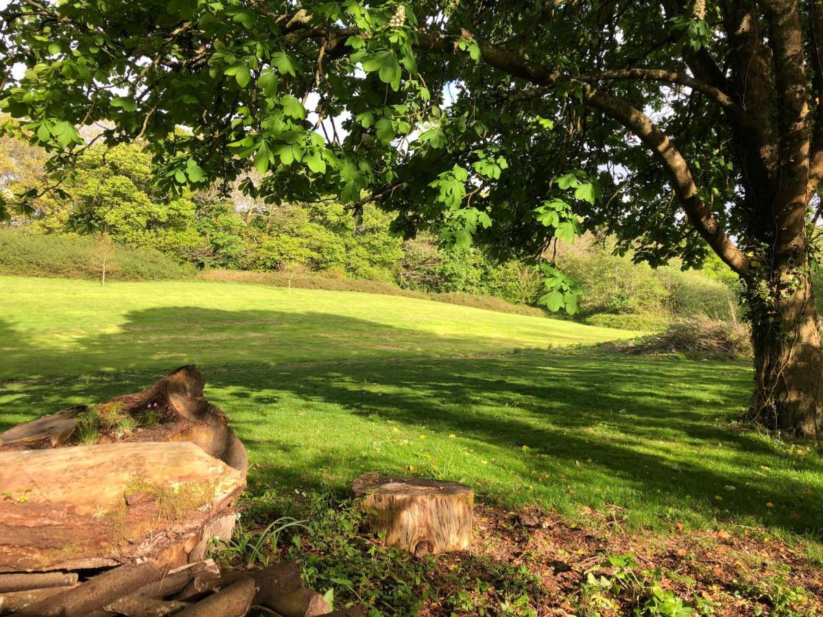 Red River Stables - Peaceful, Beautiful Grounds, Swimming Pool, Central Location For West Cornwall Camborne Bagian luar foto