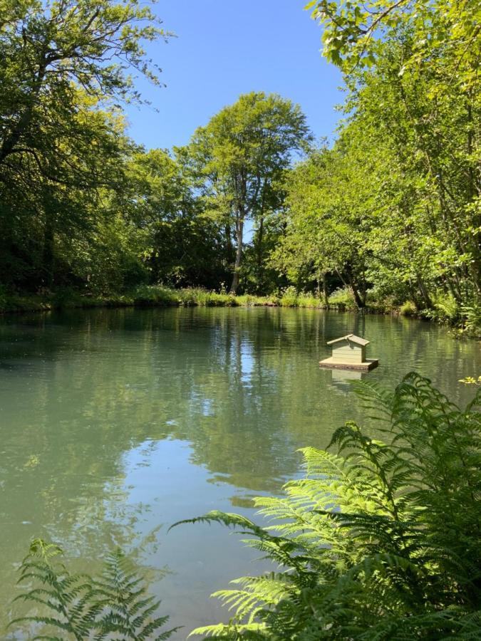 Red River Stables - Peaceful, Beautiful Grounds, Swimming Pool, Central Location For West Cornwall Camborne Bagian luar foto