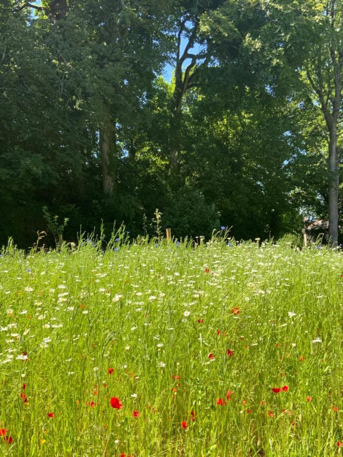 Red River Stables - Peaceful, Beautiful Grounds, Swimming Pool, Central Location For West Cornwall Camborne Bagian luar foto
