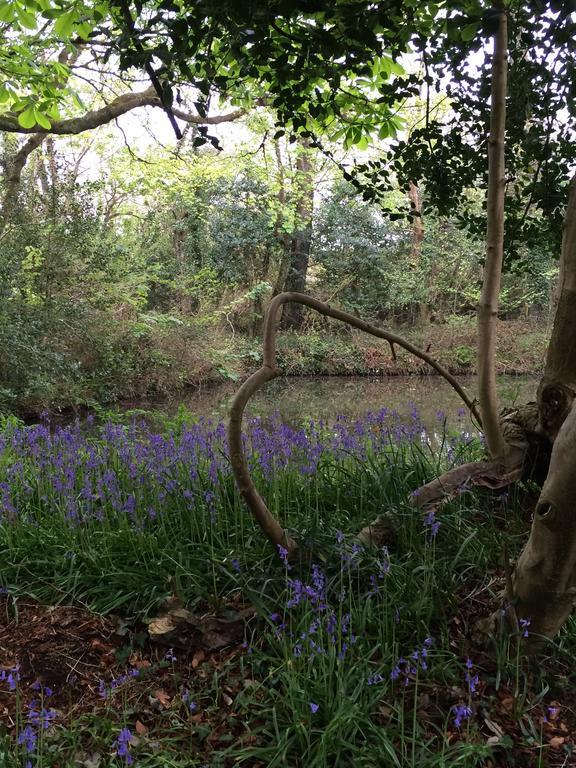 Red River Stables - Peaceful, Beautiful Grounds, Swimming Pool, Central Location For West Cornwall Camborne Bagian luar foto